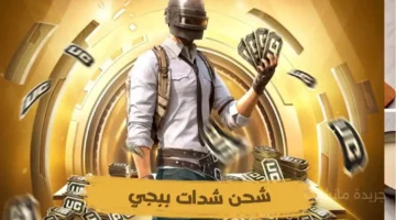 هدية 9120 شدة.. عرض جديد للاعبين وطريقة شحن شدات ببجي بأمان 1